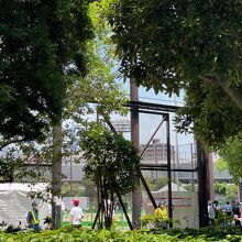 聖火リレーで閉鎖されたグランド