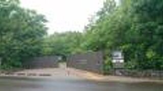 丹後半島の山の中にある安藤忠雄設計の安野光雅の小さな美術館