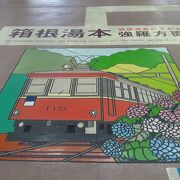 通勤列車とリゾート列車の両面があります