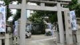 青々とした茅の輪が造られていました