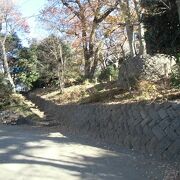 公園のほとんどが世田谷城の城跡