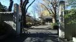 枯山水風の小さな庭が良い