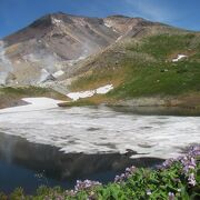 7月中旬、白い残雪浮かぶ青い池