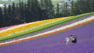 2021年は花の当たり年！