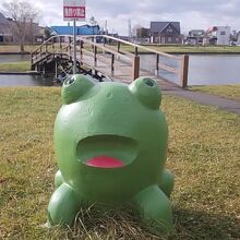 数年前は同じ場所でこの子が見られたんだケロ～。