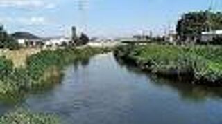 かつて床上浸水に悩み、今ではタナゴ釣りも