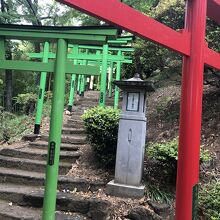 たくさんの鳥居