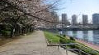 東京を流れる大きな川