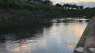 日の長い夕方に