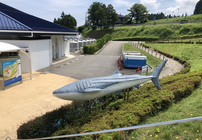 能登島のおすすめ観光スポット クチコミ人気ランキングtop13 フォートラベル 石川県 能登島のおすすめ観光スポット クチコミ人気ランキングtop13 フォートラベル 石川県