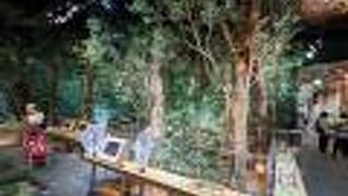 お金とっても全然良いレベル