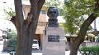 公園の散歩の途中に出会えます