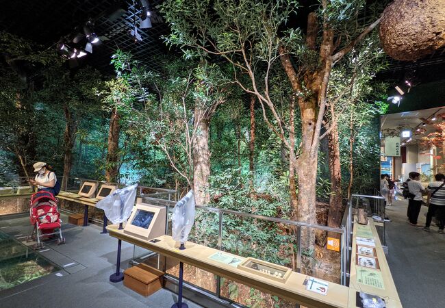 宮崎県の美術館 博物館 クチコミ人気ランキングtop35 フォートラベル 宮崎県の美術館 博物館 クチコミ人気ランキングtop35 フォートラベル