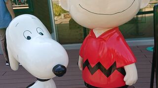 新しいスポット