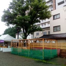 浅草神社の御神田