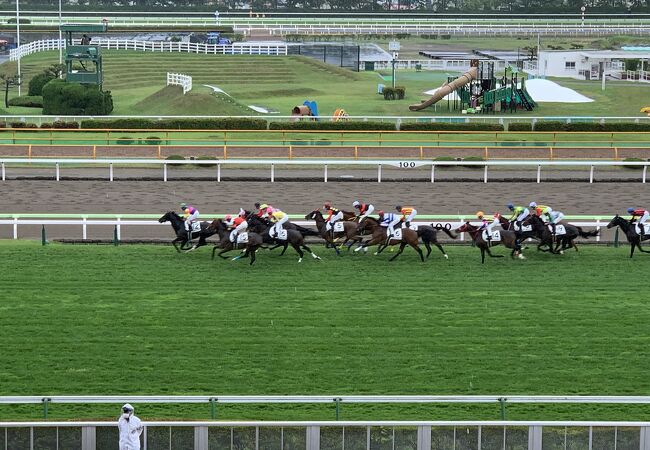 函館競馬場 クチコミ アクセス 営業時間 湯の川温泉 フォートラベル