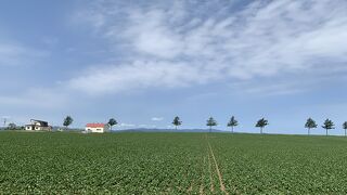 北海道らしい素敵な景色