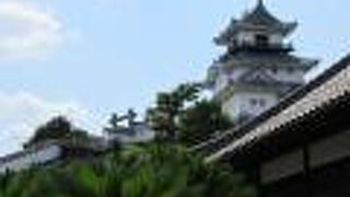 山内一豊の名城なのよ