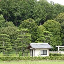 佐紀楯列古墳群の称徳（孝謙）天皇陵