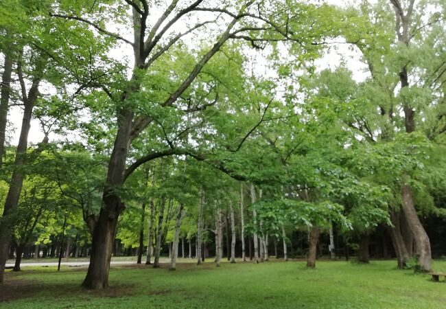 琴似 発寒中央の公園 植物園 クチコミ人気ランキングtop9 フォートラベル 北海道 琴似 発寒中央の公園 植物園 クチコミ人気ランキングtop9 フォートラベル 北海道
