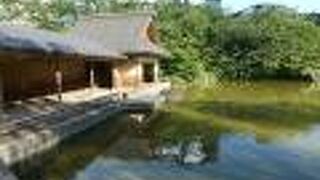 芝生と池でまったりするのが似合う公園。