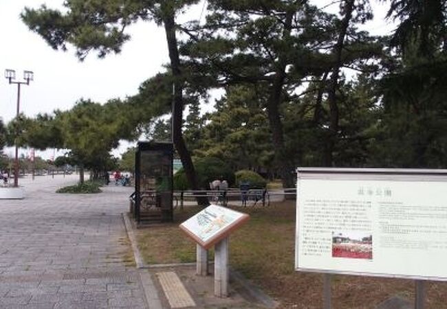 古くから親しまれる大きな公園