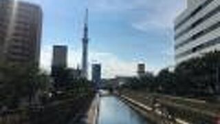 スカイツリーがよく見えます