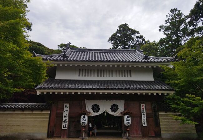 医王山油山寺 クチコミ アクセス 営業時間 袋井 フォートラベル 医王山油山寺 クチコミ アクセス 営業時間 袋井 フォートラベル
