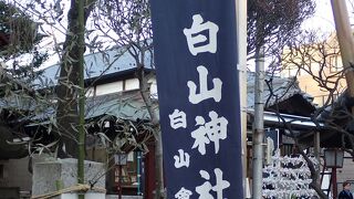 東京十社の１つ　白山神社（住宅街の中にある歴史を感じる神社）