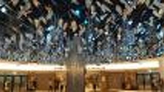 まだまだお店が閉まっていました