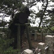 羽衣の松（静岡市清水）：観光客寄せの松、がっかり