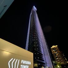 ライトアップされた福岡タワー