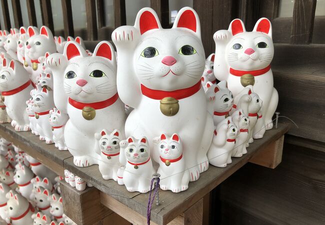 三軒茶屋 駒沢のおすすめ観光スポット クチコミ人気ランキングtop フォートラベル 東京 三軒茶屋 駒沢のおすすめ観光スポット クチコミ人気ランキングtop フォートラベル 東京