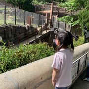 広い動物園