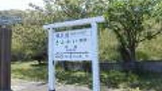 歩行者と自転車の専用道です