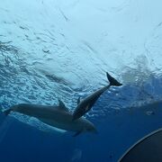 水族館