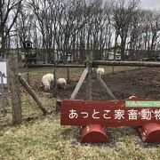 子供が喜ぶ遊び場あり