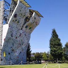 クライミングウォール