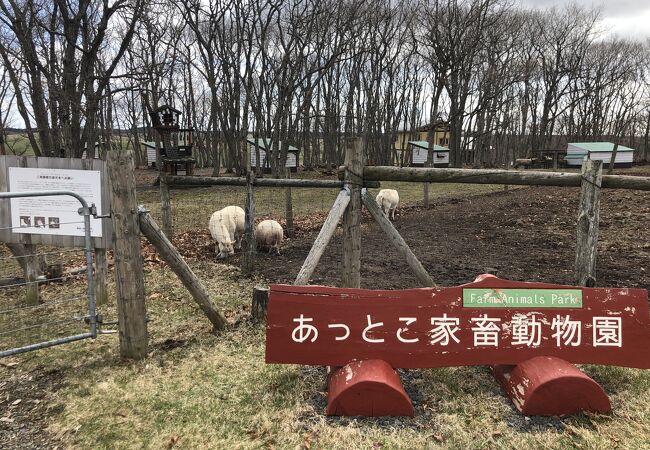 子供が喜ぶ遊び場あり