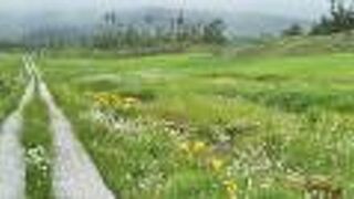 トレッキングスポット