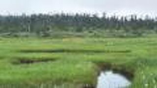 トレッキングスポット!