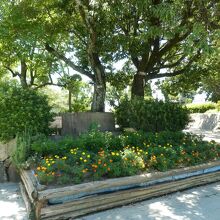 駅からま直ぐ来ればドン突きが公園です