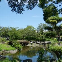 落ち着いた雰囲気の回廊式日本庭園に成ってます