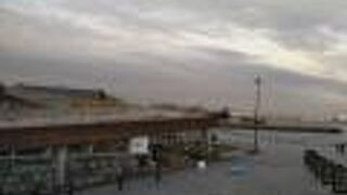 象の形をしたソフトクリーム