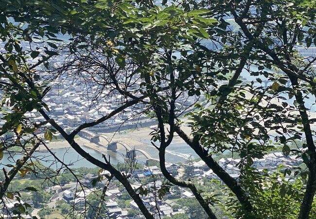 岩国城山自然休養林遊歩道♪