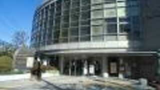 館の前には金子兜太の句碑や橋本佐内の墓旧套堂があります