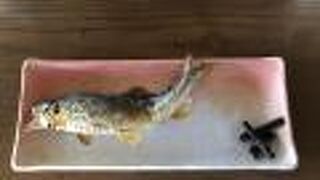 夏に涼みに行くのにいいです。