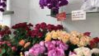 オシャレでリーズナブルです