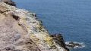 元乃隅稲成神社の鳥居の先