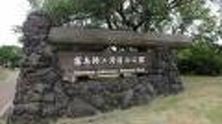 独特な自然豊かな桜島と錦江湾